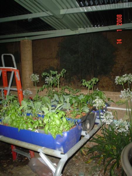 GB3 14Jan08 (Medium).JPG