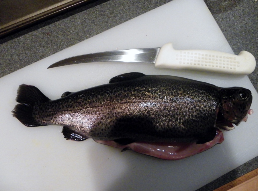 IMGP0112 (900x666).jpg