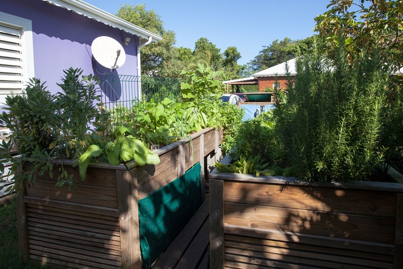 IMG_40196a (medium) (Personnalisé).jpg