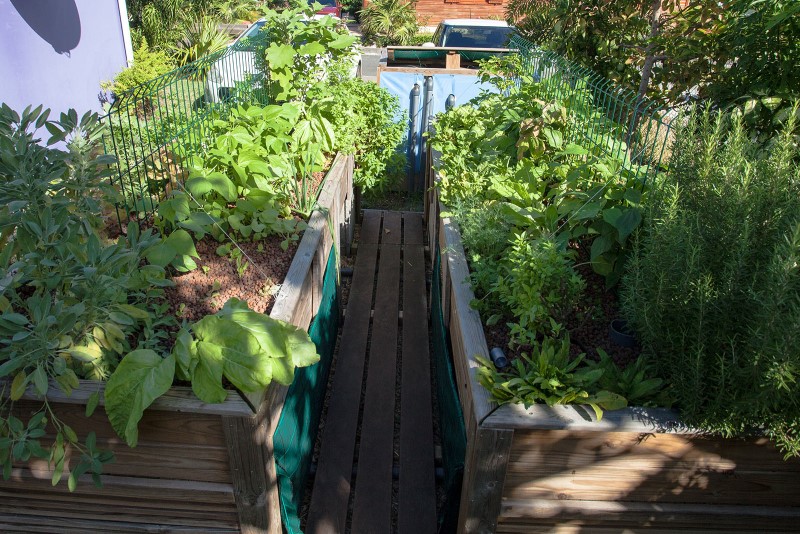 IMG_40201a (medium) (Personnalisé).jpg