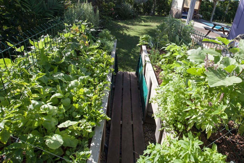 IMG_40206a (medium) (Personnalisé).jpg