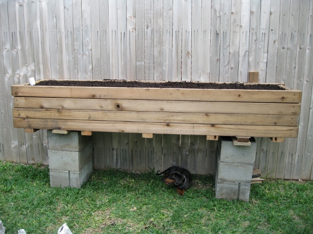 2x8 SIP Wood Planter 1.jpg