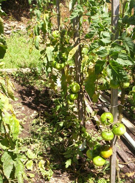 100_3082 (Medium).JPG