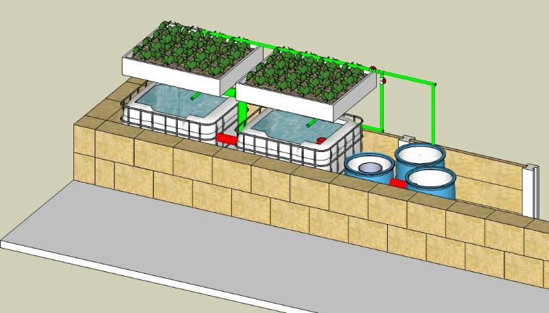 Aquaponics-overview-800x457.jpg