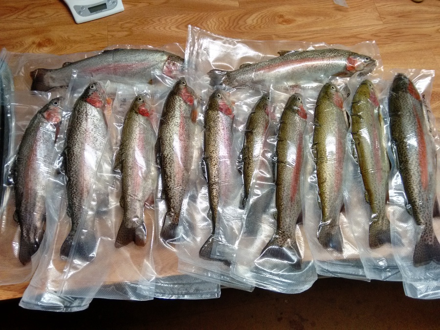 AP1Trout20170115.jpg
