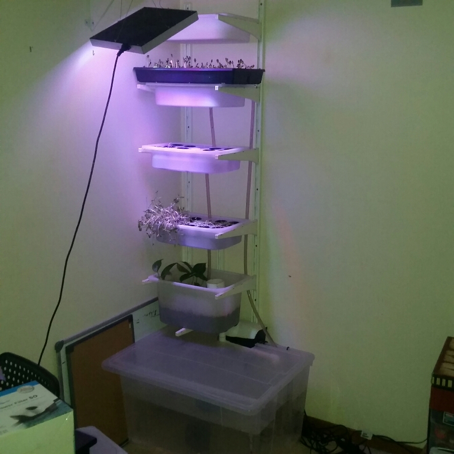 2017-01-16 15.26.57.jpg