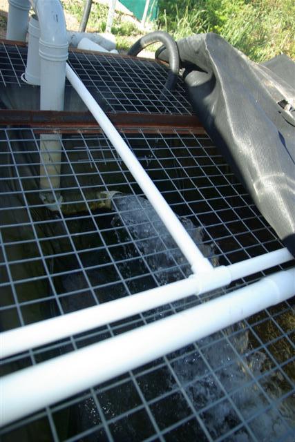 syphon kicked in.JPG