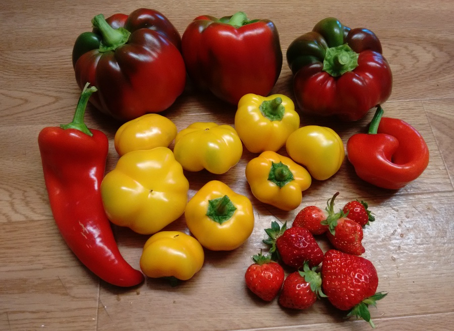 AP1capsicums-strawberries.jpg