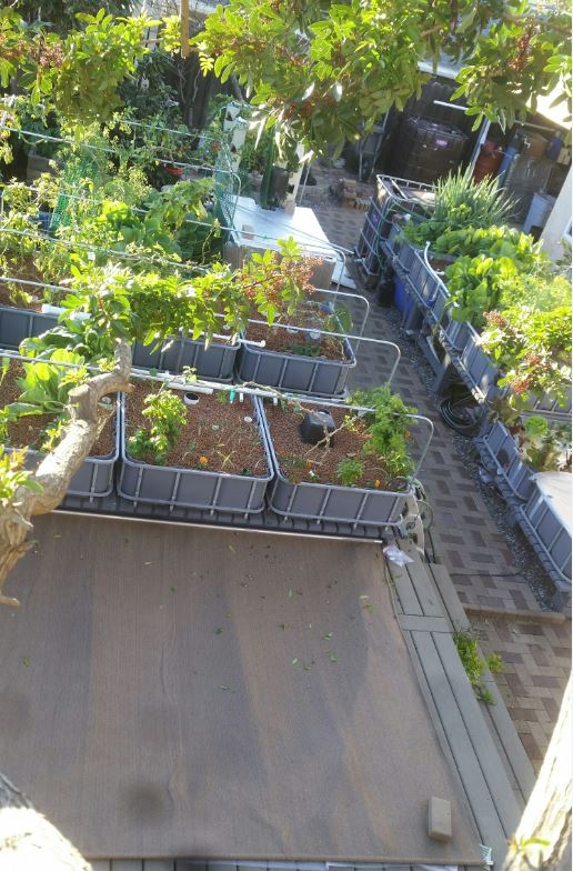 overhead 2017 0130 - Windows Photo Viewer.jpg