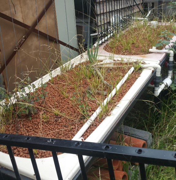 2017-02-11 09.52.13.jpg