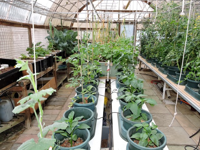 DSCN0538 (Small).JPG