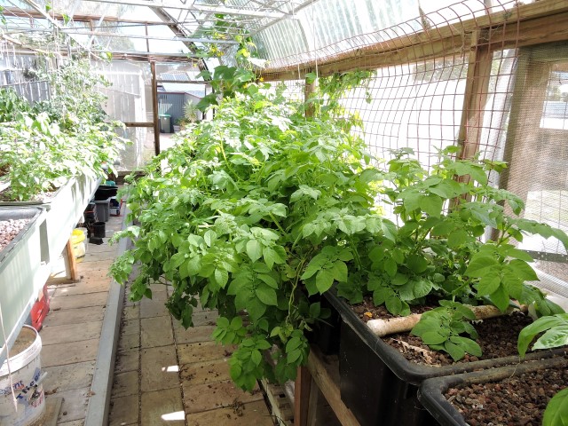 DSCN0542 (Small).JPG