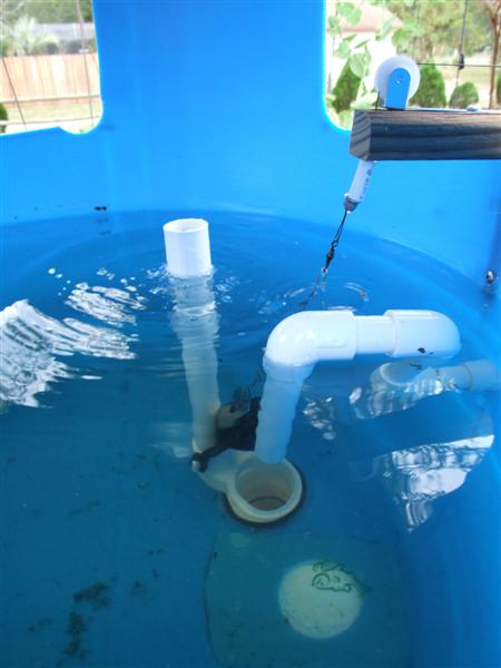 flapper lifted (Medium).JPG