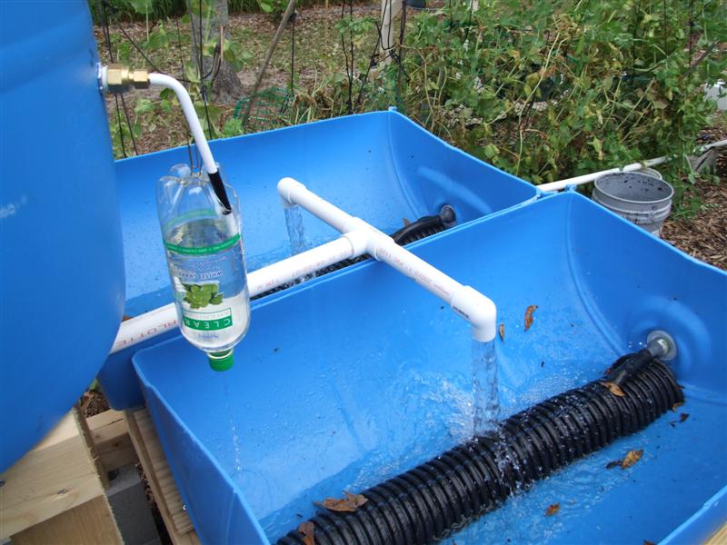 bottle full down (Medium).JPG