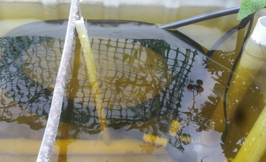 heat coils 2017 0218.jpg