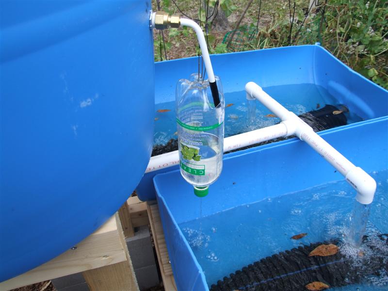 bottle draining (Medium).JPG