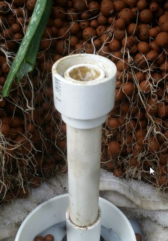 2017 0219 low overflow.jpg