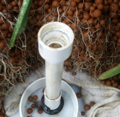 2017 0219 hi overflow.jpg