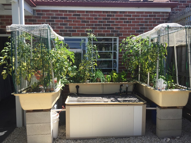 AP System Feb 2017.jpg