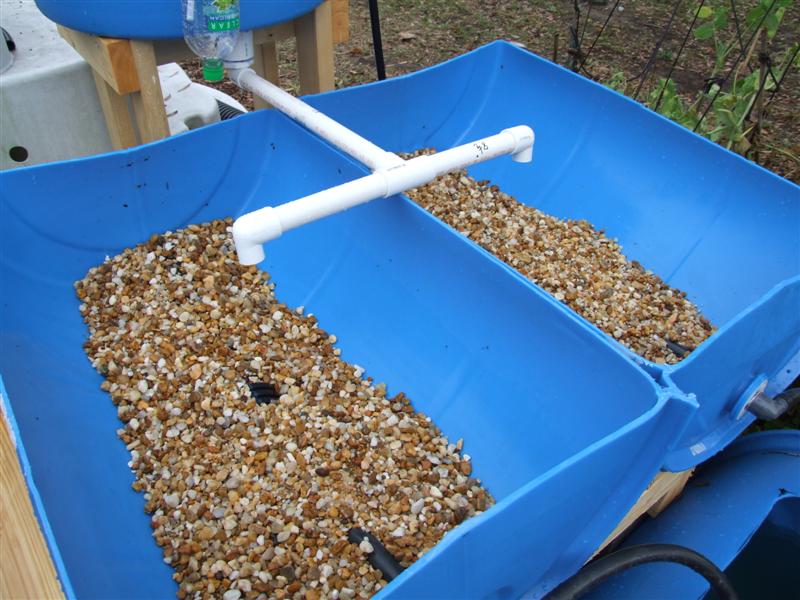 one bag each (Medium).JPG