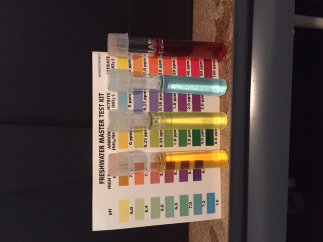 Water Test 3-13-17.JPG