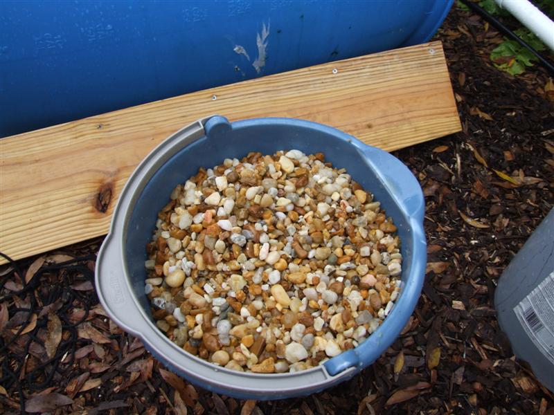 looks better in smaller bucket (Medium).JPG