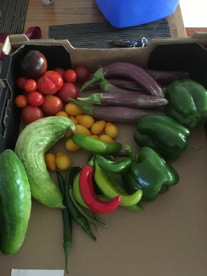 IMG_4536 Resized.jpg