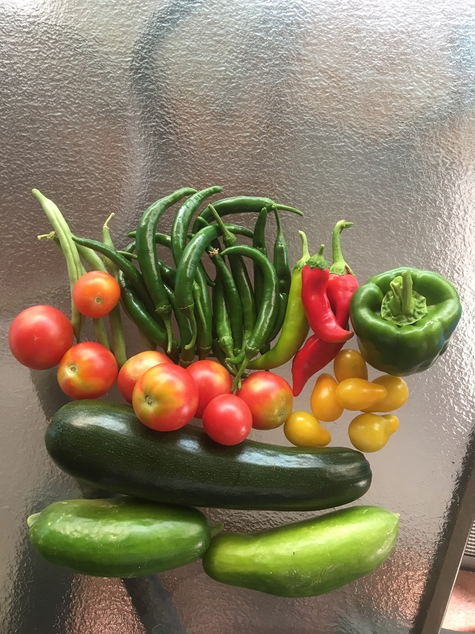 IMG_4550 resized.jpg