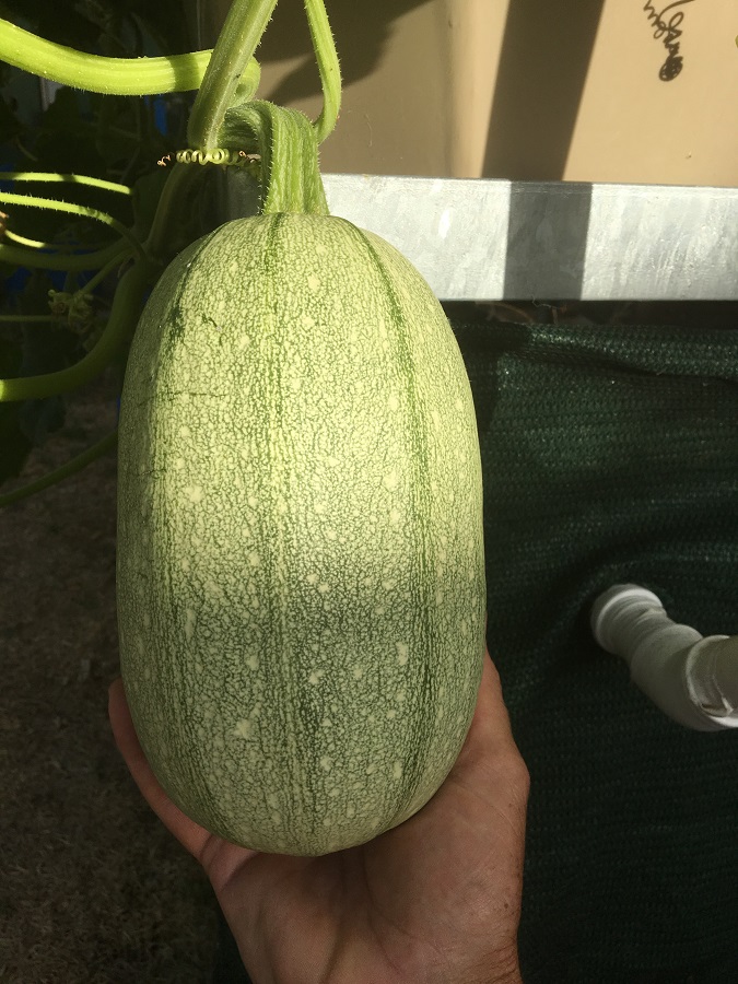 IMG_4556 resized.jpg