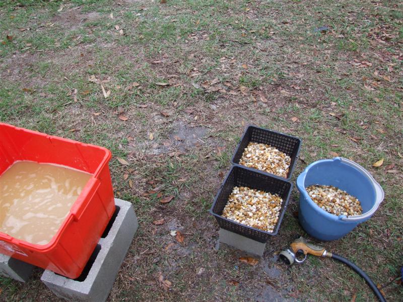 ground getting soggy (Medium).JPG