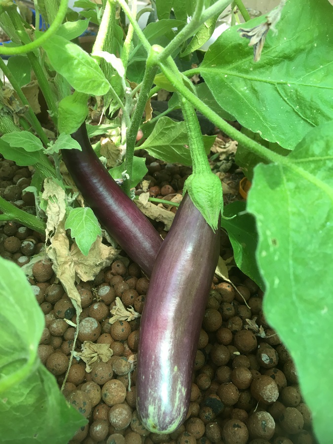 IMG_4572 resized.jpg