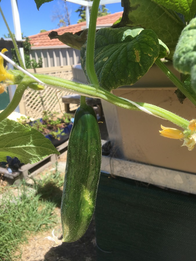 IMG_4568 resized.jpg