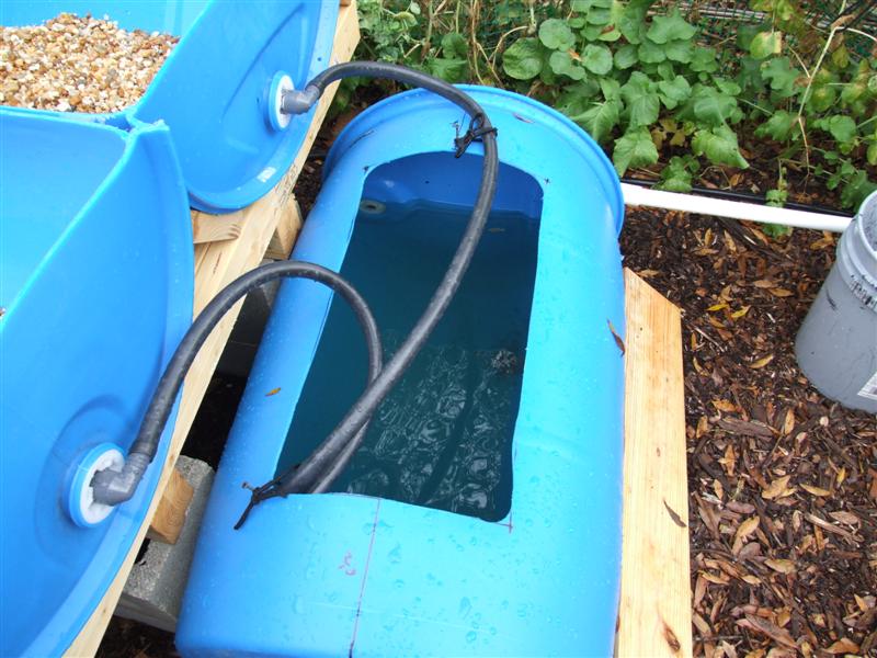 not too cloudy yet (Medium).JPG