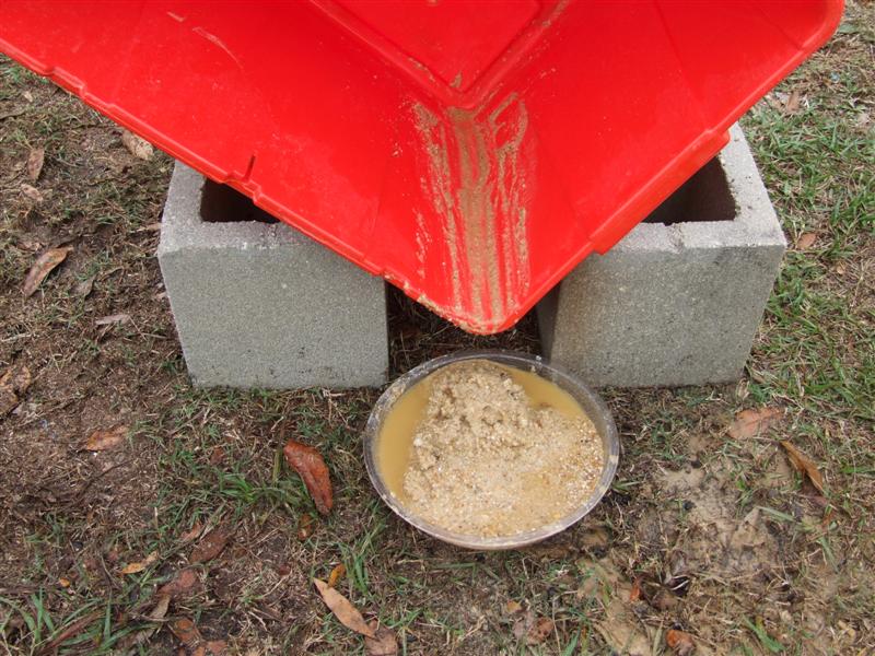 sand from all 8 bags (Medium).JPG