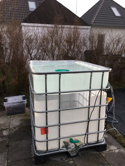 IMG_6967 (Small).JPG