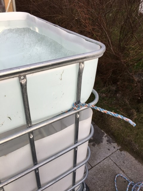 IMG_6969 (Small).JPG