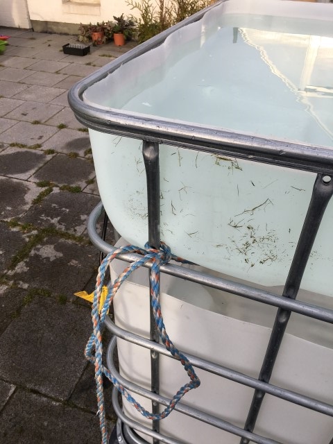 IMG_6970 (Small).JPG