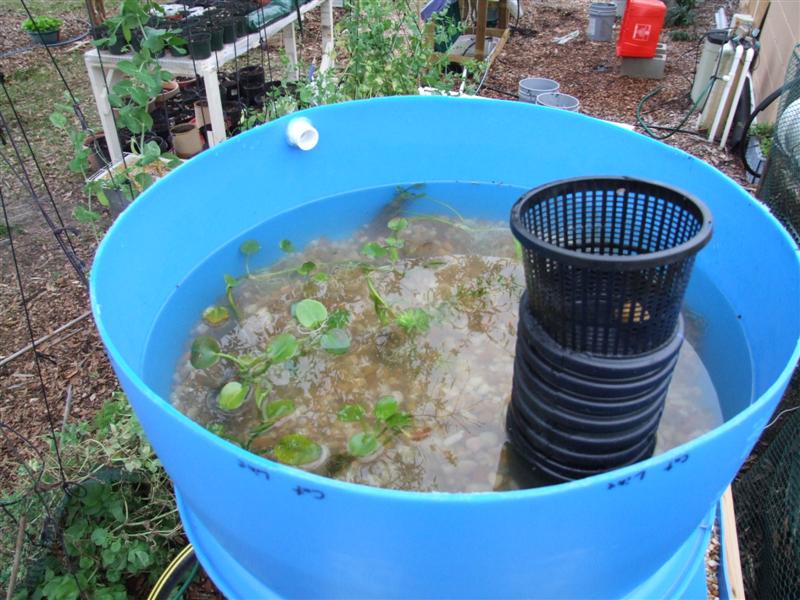 one bag up top (Medium).JPG