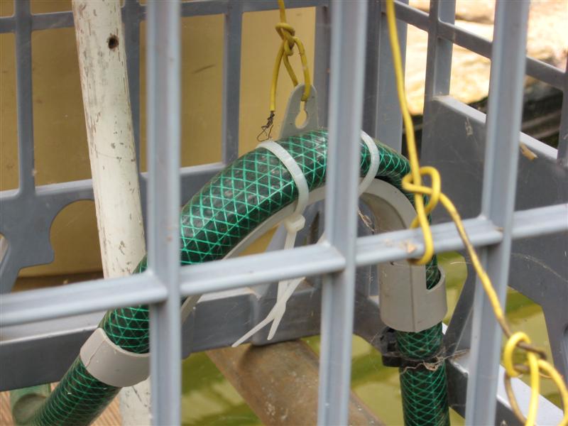 IMG_0005 (Medium).jpg