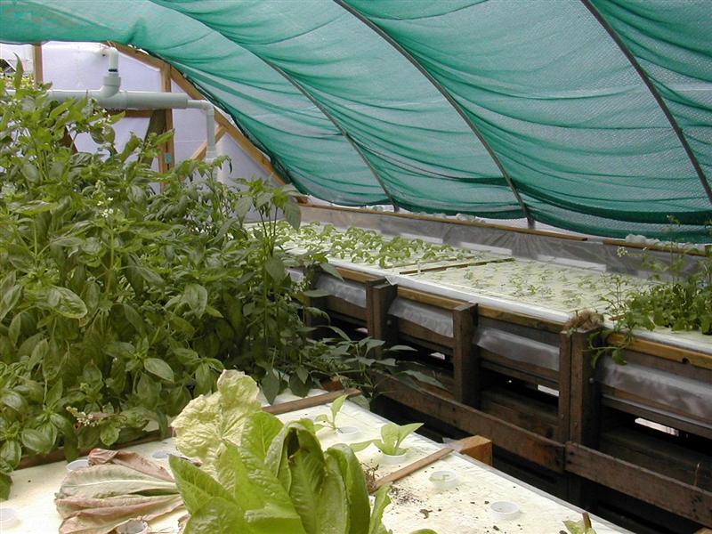 DSCN2231_2 (Medium).JPG