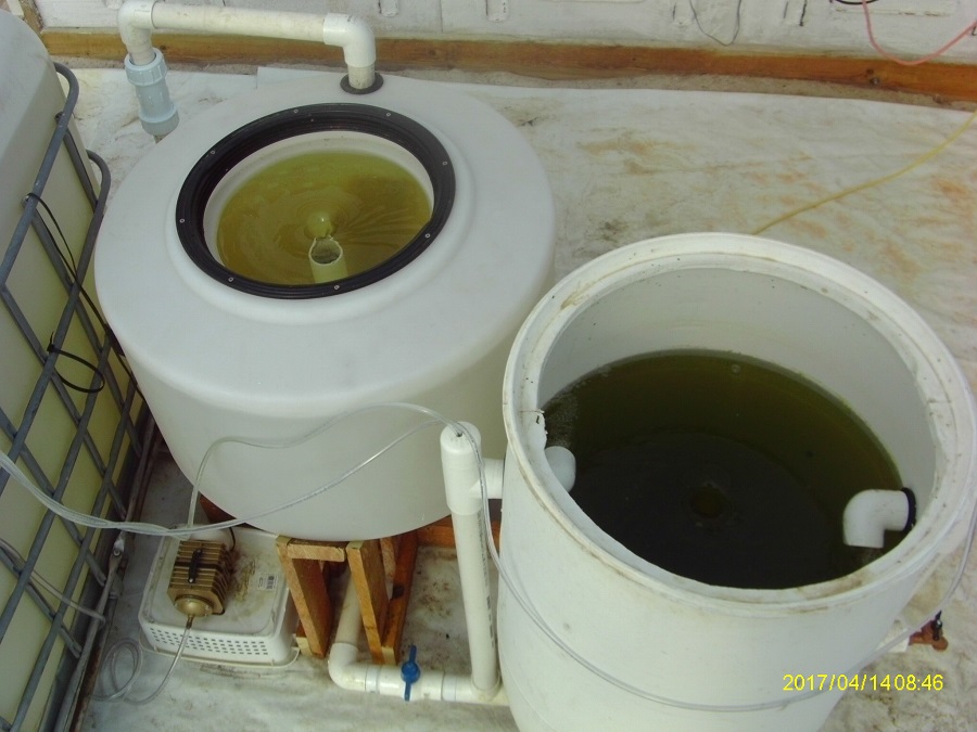 RFF & Mineralization Tank.JPG