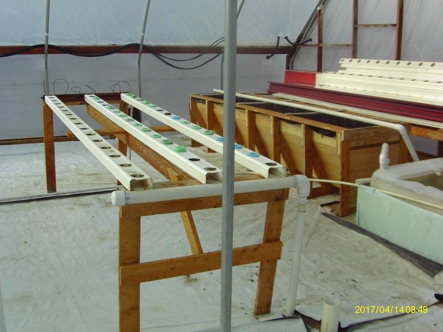 Grow Bed Overview.JPG