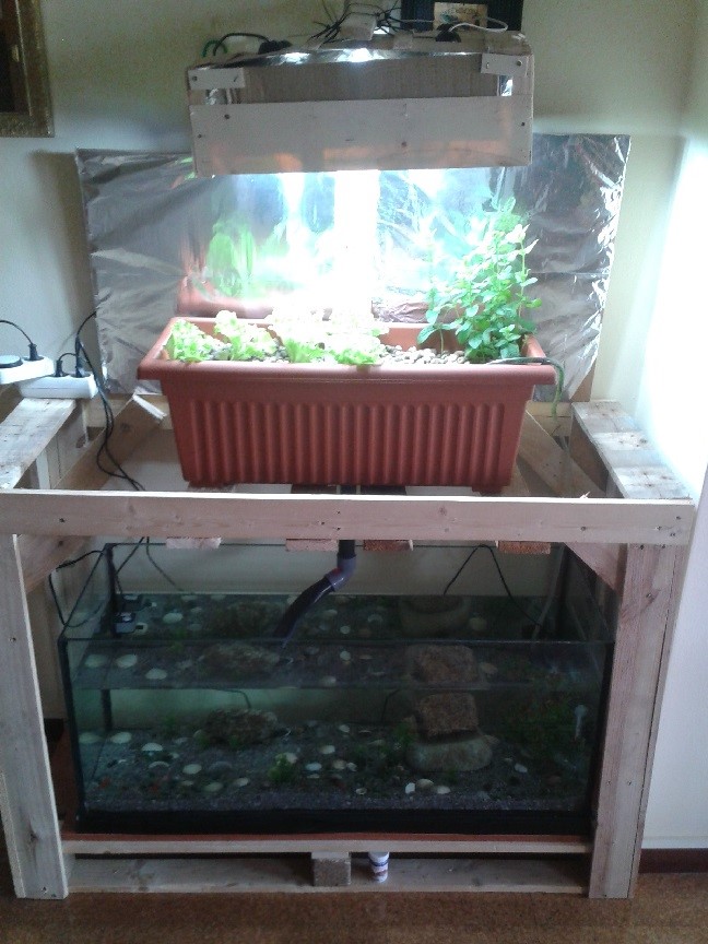 2017-04-22 16.32.49.jpg