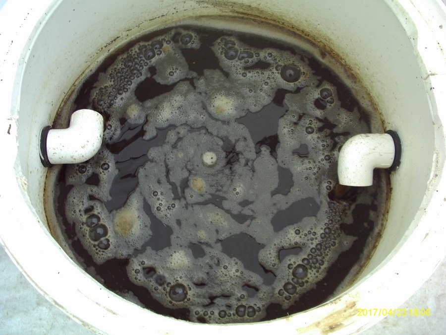 Mineralization Tank with vermicompost.JPG