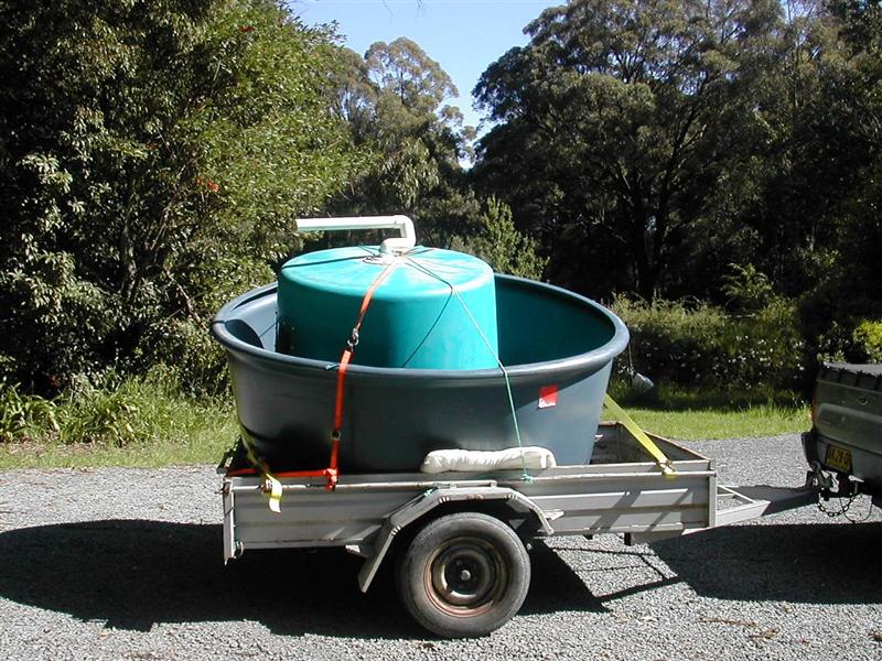 DSCN1936_1 (Medium).JPG