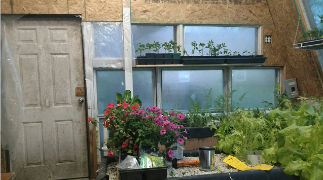greenhouse6.PNG