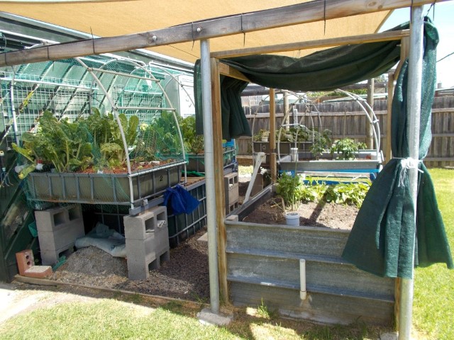 DSCN1219 (Medium) (Small).JPG