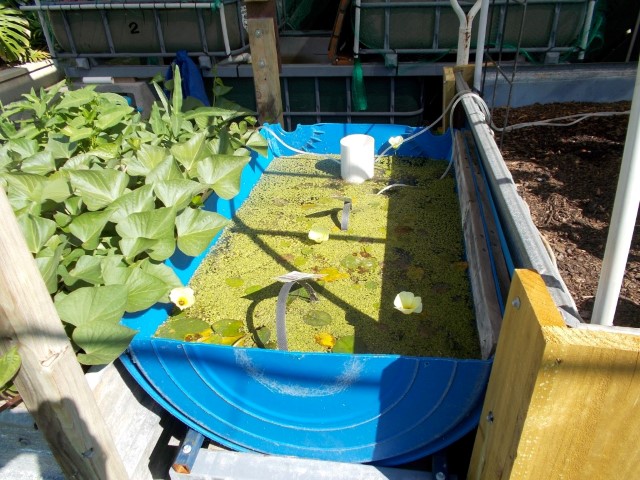 DSCN1269 (Medium) (Small).JPG