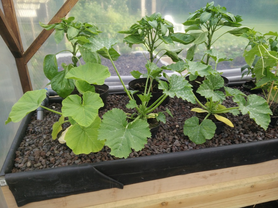 IMG_20170521_190423 - small.jpg