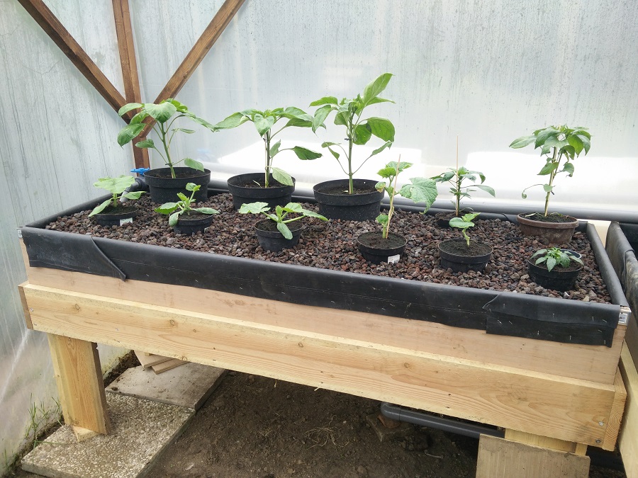 IMG_20170508_092829 - small.jpg